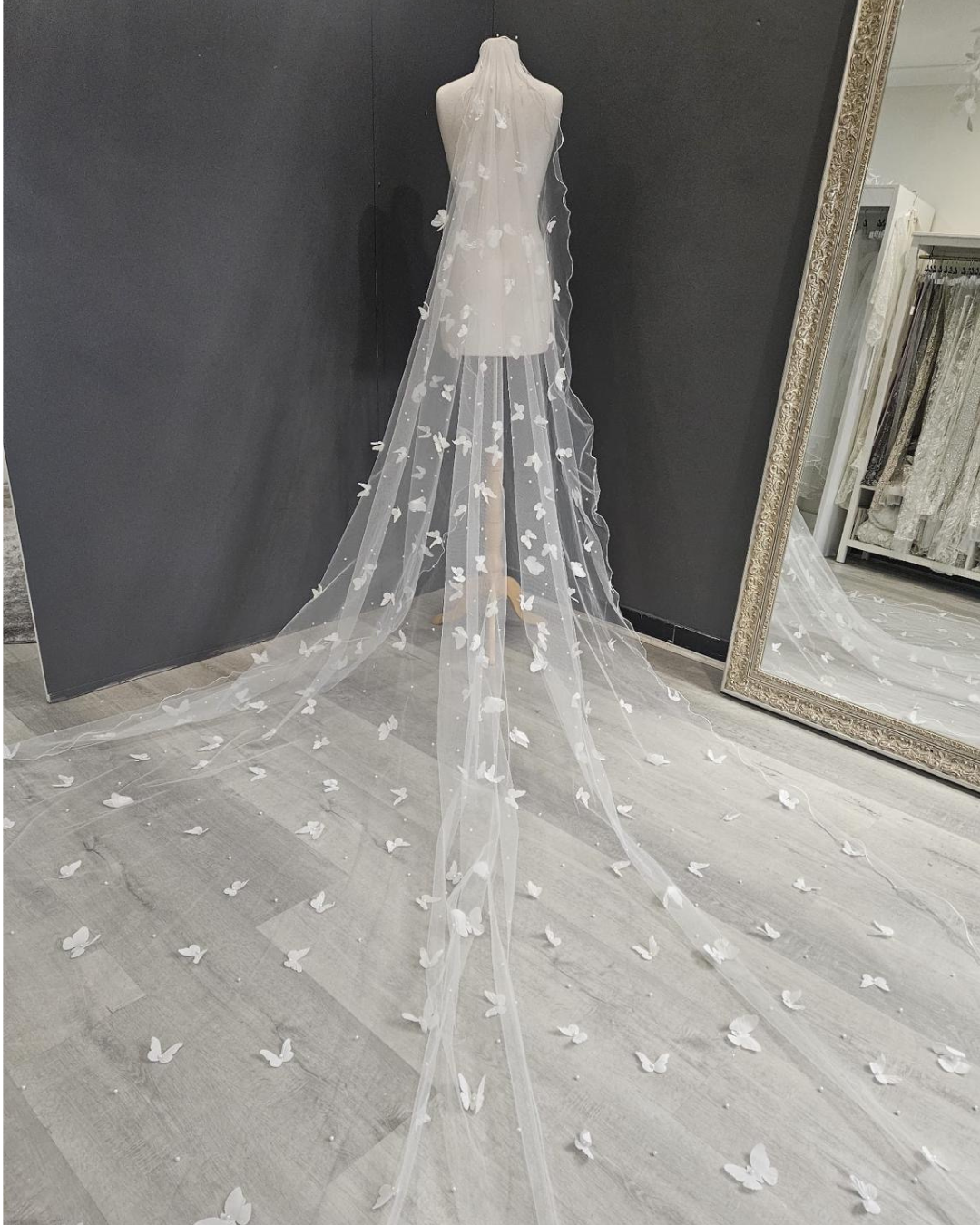 Veil 19